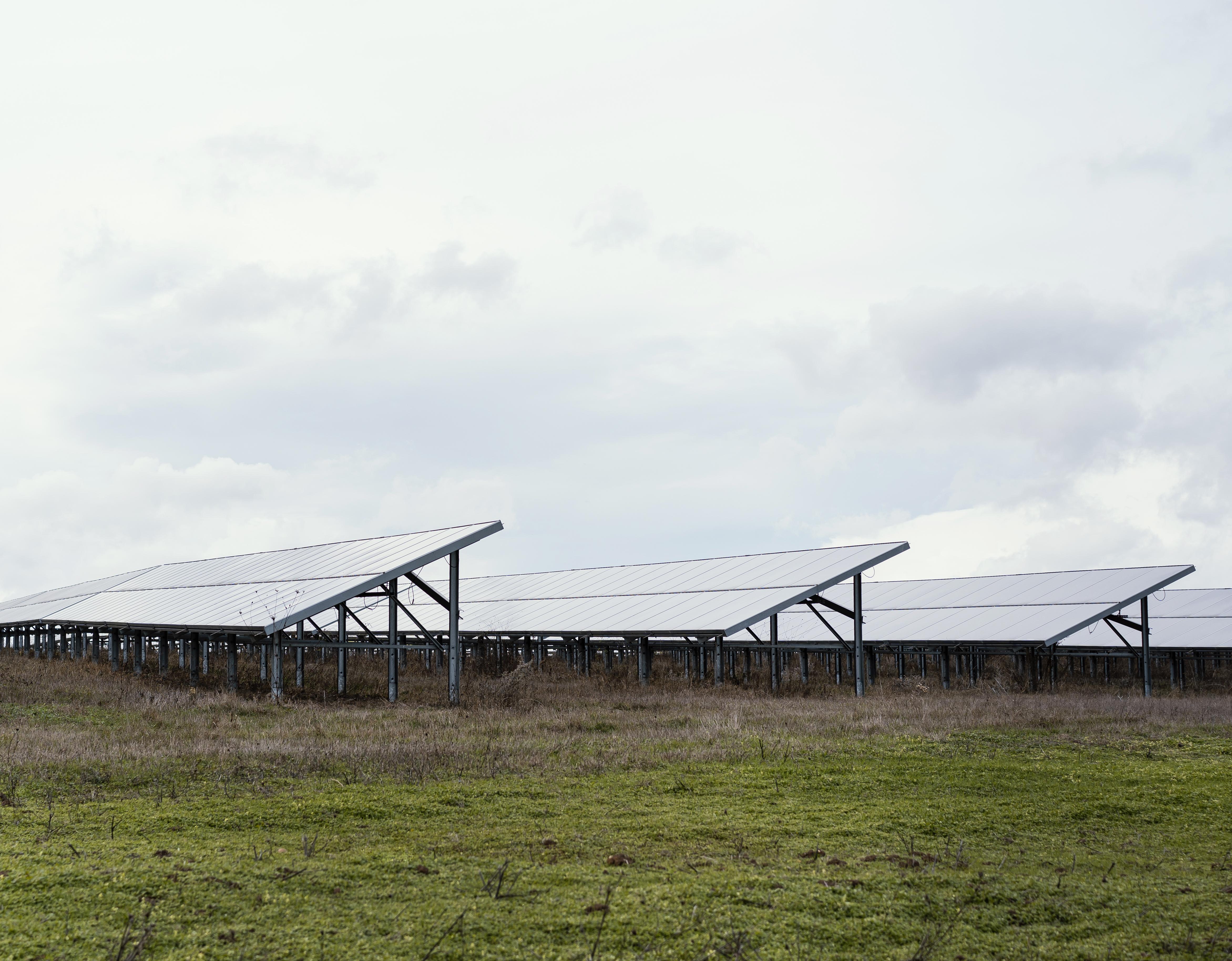 field with lots solar panels